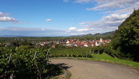 Blick auf Britzingen mit seinen Weinreben und das Markgräfler Land. Foto: Bernhard Seger. Blick auf Britzingen mit seinen Weinreben und das Markgräfler Land. Foto: Bernhard Seger.