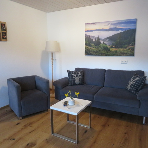 neu renoviertes Wohnzimmer mit bequemer Couch und Sessel - 