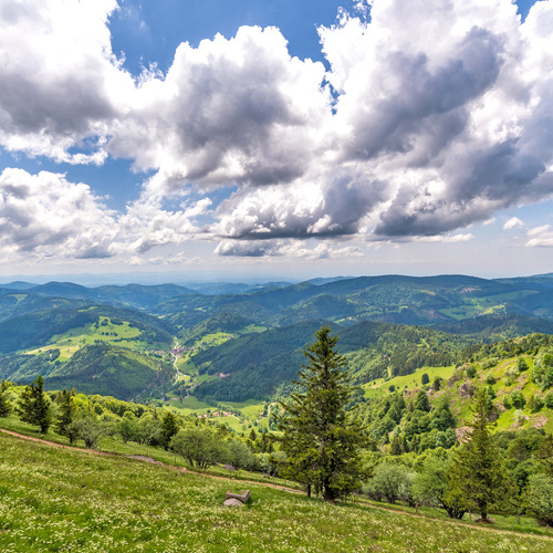 Blick vom Hausberg Belchen (1.414 m) - Blick vom Hausberg Belchen (1.414 m) -