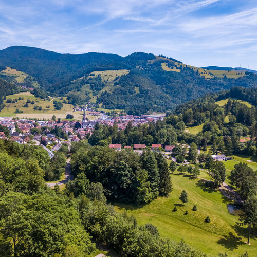 Blick auf Schönau im Schwarzwald - Blick auf Schönau im Schwarzwald -
