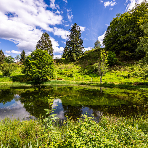 Der Letzbergweiher, wenige Gehminuten vom Haus am Bühl entfernt. - Der Letzbergweiher, wenige Gehminuten vom Haus am Bühl entfernt. -