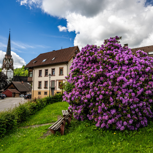 Blick auf den Kirchturm von Schönau von der Kirchbühlstraße aus - Blick auf den Kirchturm von Schönau von der Kirchbühlstraße aus -