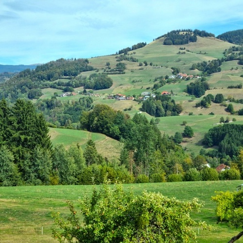 Landschaft - 